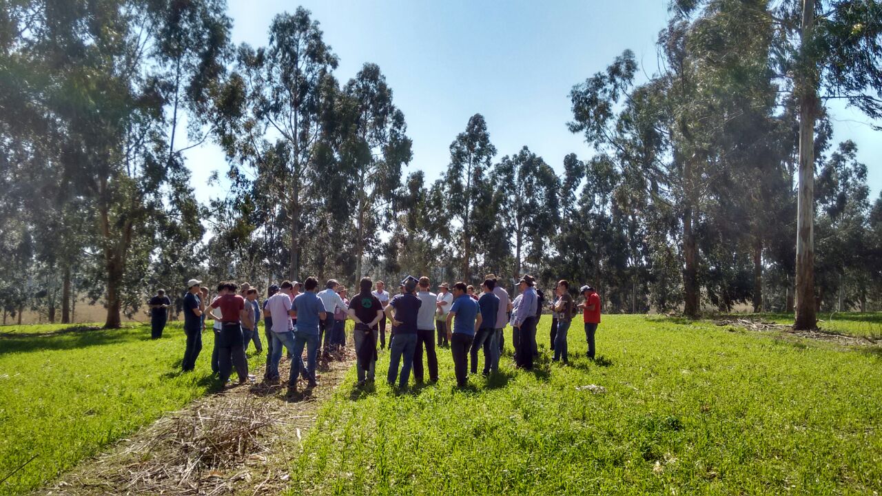 You are currently viewing Colegiado de Agricultura da AMEOSC realiza viagem técnica para prospecção de inovação para Agricultores