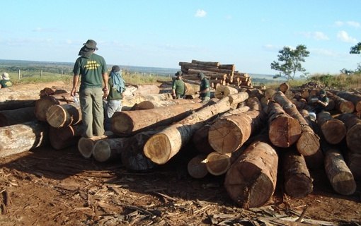 You are currently viewing Ibama atualiza regulamento interno de fiscalização ambiental