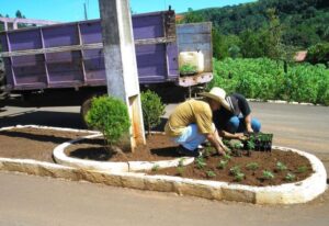 Read more about the article Município de Tunápolis iniciados trabalhos de ajardinamento nas ruas