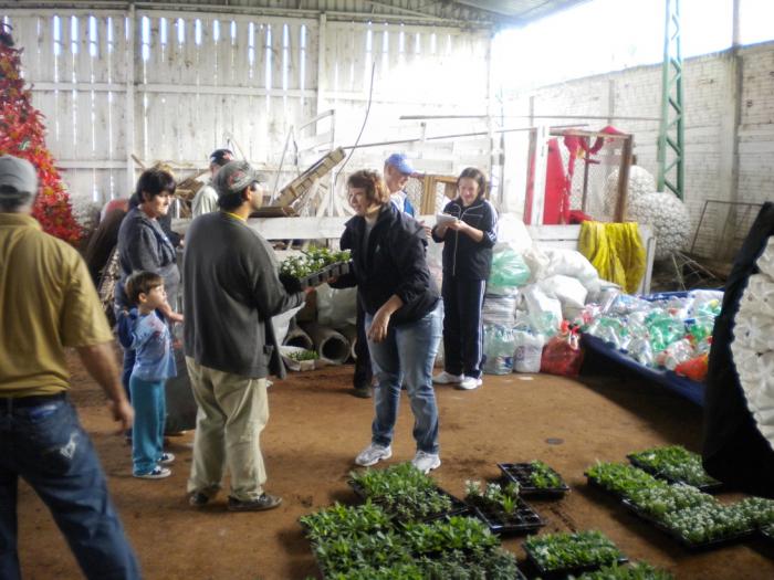 You are currently viewing Programa Florescer distribui 3.000 mudas de flores para população de Tunápolis