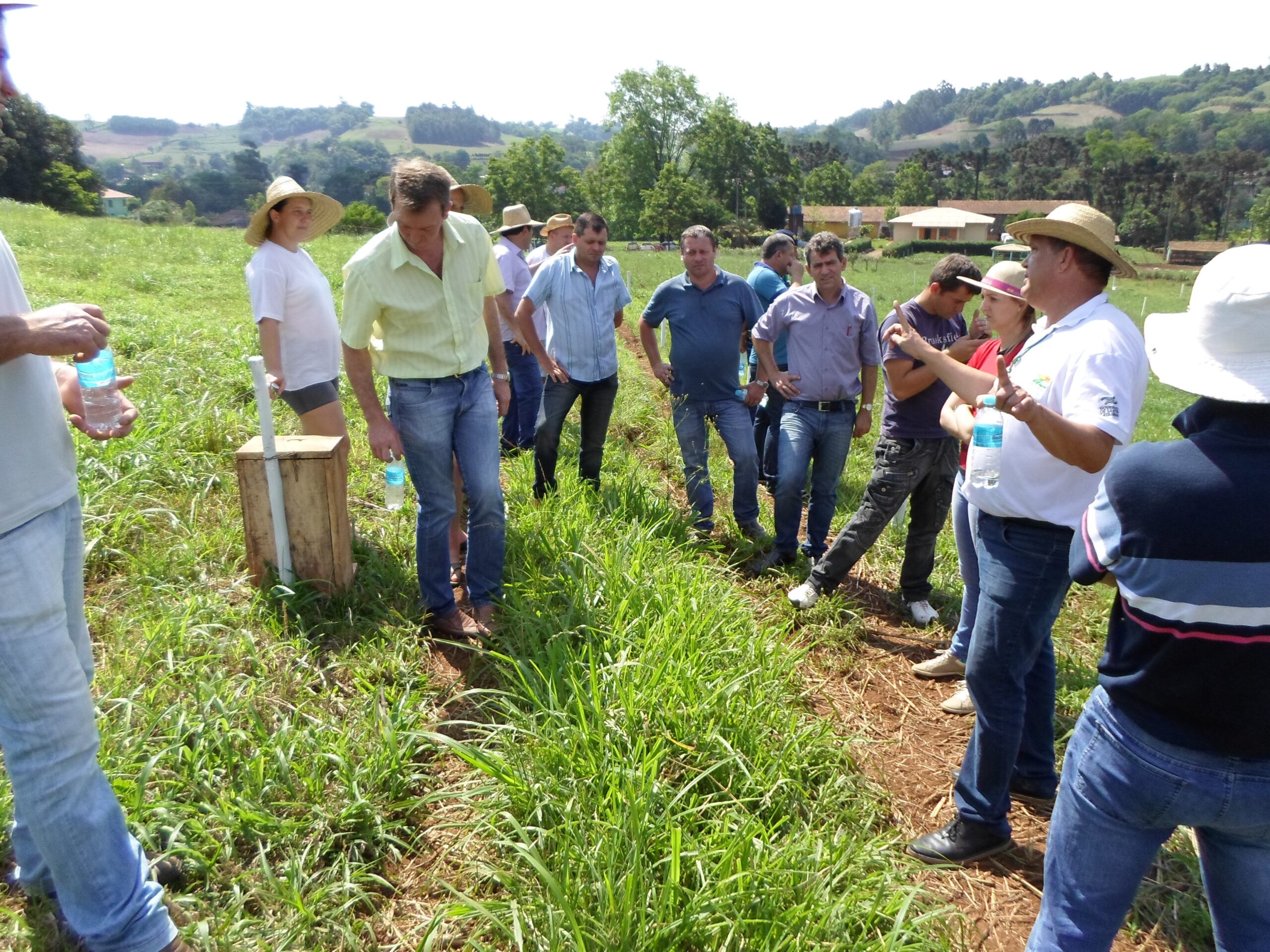 You are currently viewing Colegiado da Agricultura