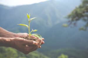 Read more about the article Regulamento da 1ª conferência regional do meio ambiente do extremo oeste de SC